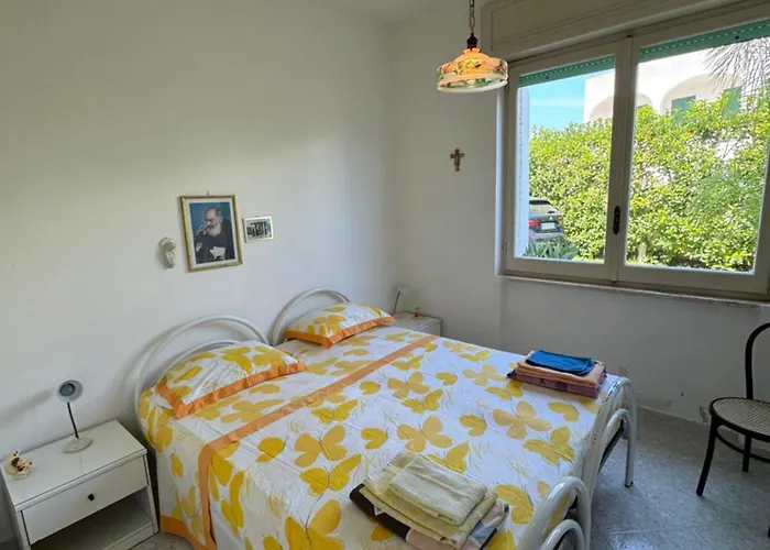 Garofani 22 * Gallipoli